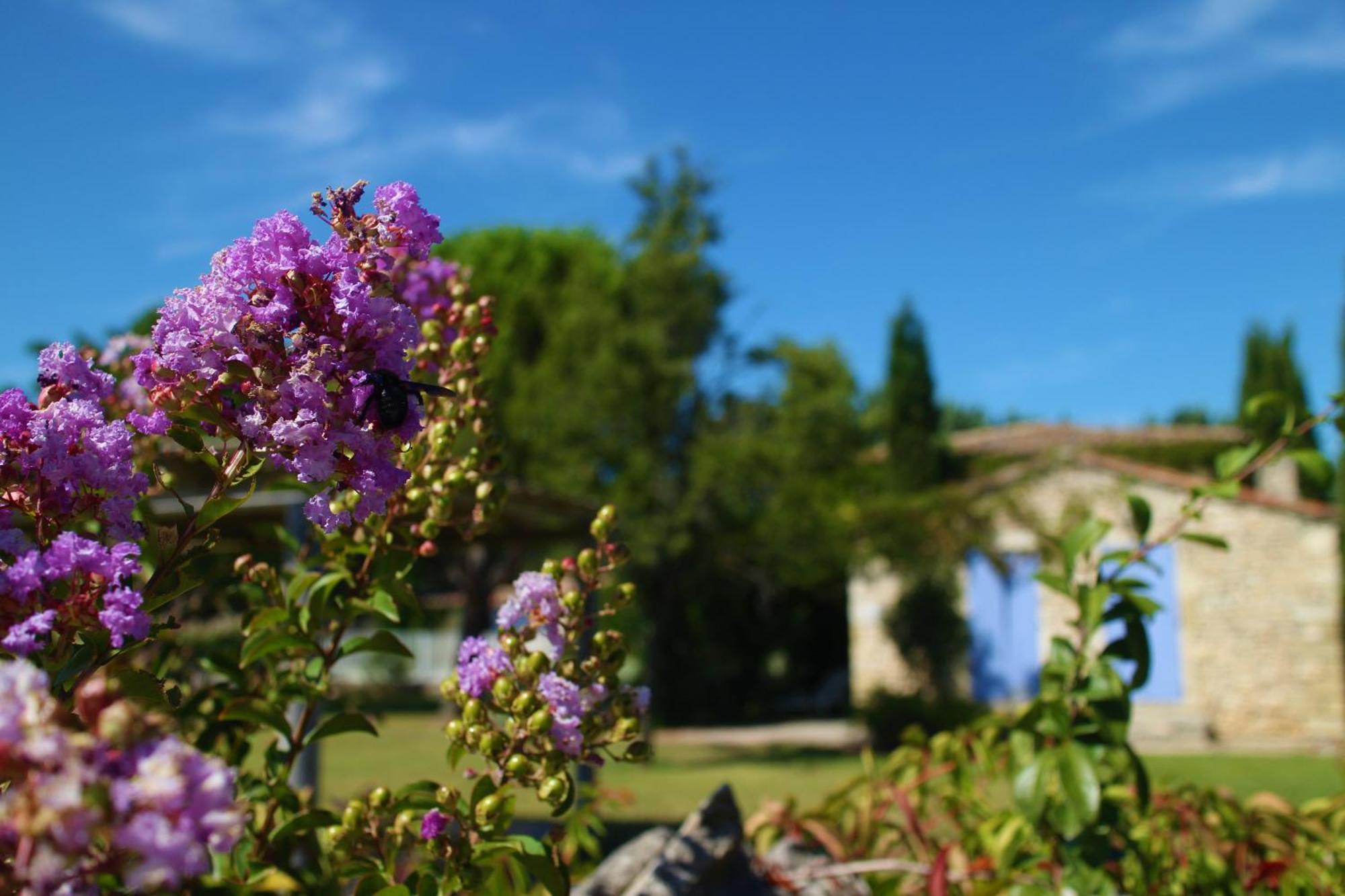 Mas Orea Gordes Dış mekan fotoğraf
